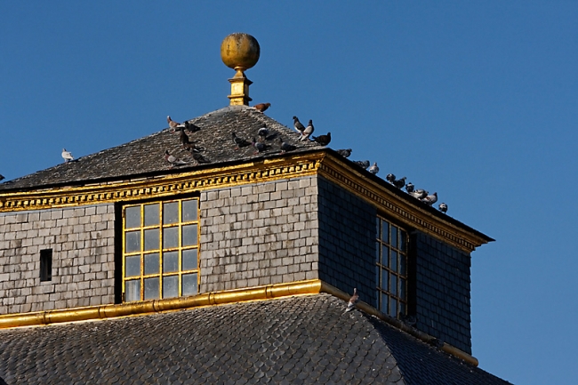 Chateau du Champ de Bataille-263